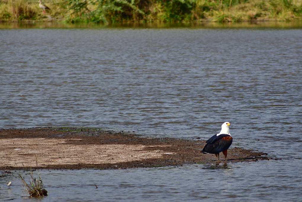 Nairobi National Park